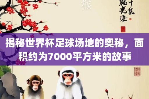 揭秘世界杯足球场地的奥秘，面积约为7000平方米的故事