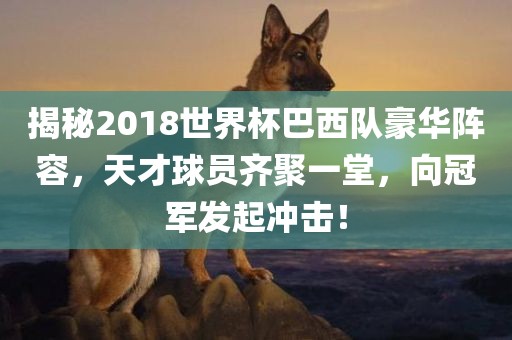 揭秘2018世界杯巴西队豪华阵容，天才球员齐聚一堂，向冠军发起冲击！