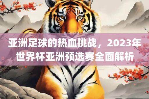 亚洲足球的热血挑战，2023年世界杯亚洲预选赛全面解析