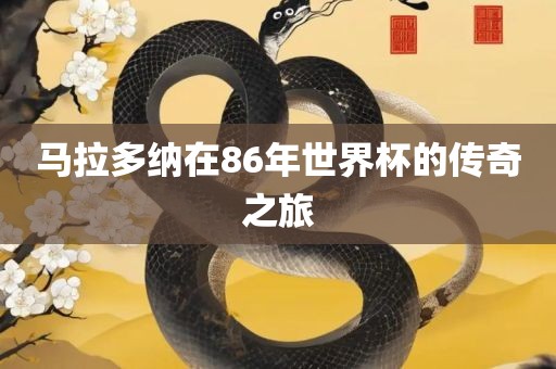 马拉多纳在86年世界杯的传奇之旅