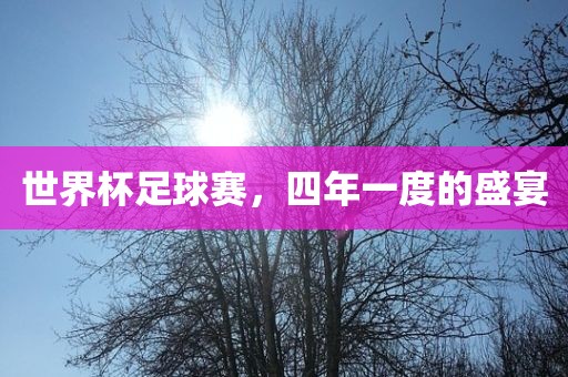 世界杯足球赛，四年一度的盛宴