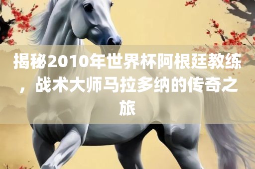 揭秘2010年世界杯阿根廷教练，战术大师马拉多纳的传奇之旅