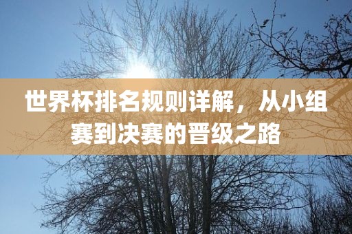 世界杯排名规则详解，从小组赛到决赛的晋级之路