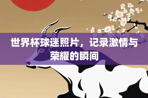 世界杯球迷照片，记录激情与荣耀的瞬间