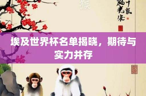 埃及世界杯名单揭晓，期待与实力并存