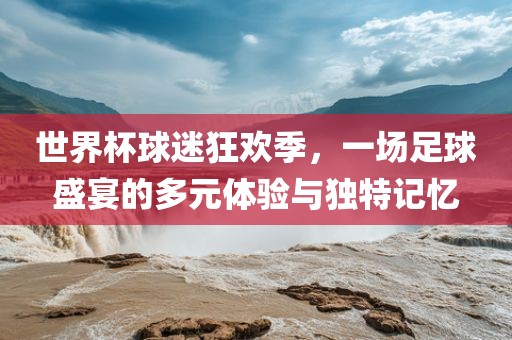 世界杯球迷狂欢季，一场足球盛宴的多元体验与独特记忆