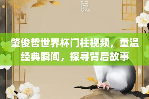 肇俊哲世界杯门柱视频，重温经典瞬间，探寻背后故事