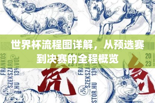 世界杯流程图详解，从预选赛到决赛的全程概览