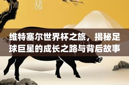 维特塞尔世界杯之旅，揭秘足球巨星的成长之路与背后故事
