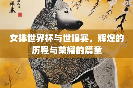 女排世界杯与世锦赛，辉煌的历程与荣耀的篇章