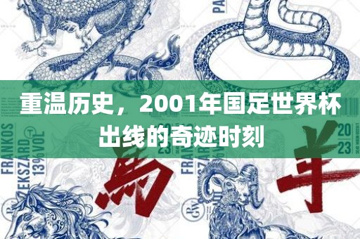 重温历史，2001年国足世界杯出线的奇迹时刻