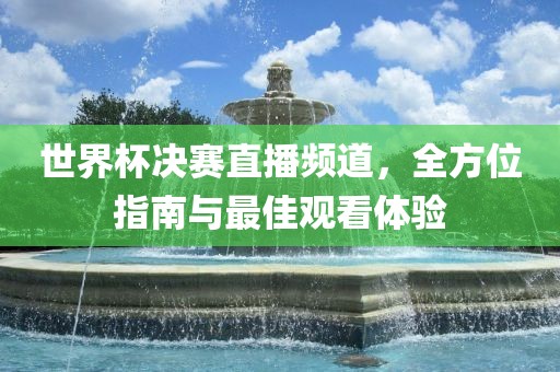 世界杯决赛直播频道，全方位指南与最佳观看体验