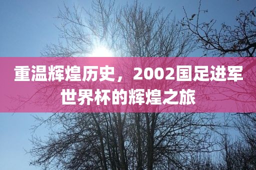 重温辉煌历史，2002国足进军世界杯的辉煌之旅