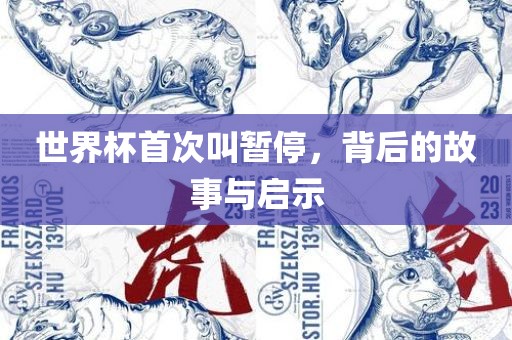 世界杯首次叫暂停，背后的故事与启示