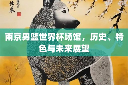 南京男篮世界杯场馆，历史、特色与未来展望