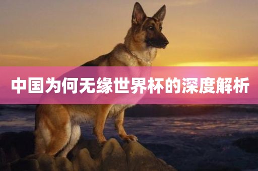 中国为何无缘世界杯的深度解析