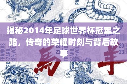 揭秘2014年足球世界杯冠军之路，传奇的荣耀时刻与背后故事