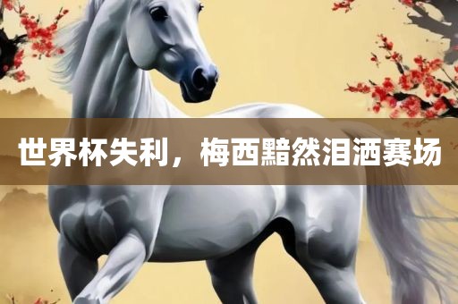 世界杯失利，梅西黯然泪洒赛场