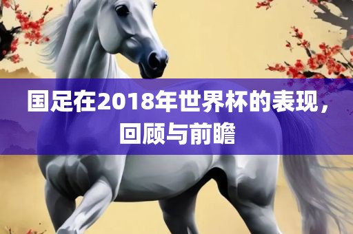 国足在2018年世界杯的表现，回顾与前瞻