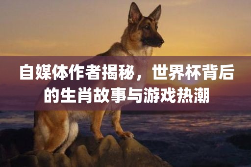 自媒体作者揭秘，世界杯背后的生肖故事与游戏热潮