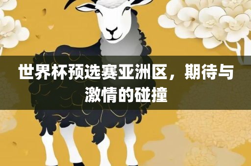 世界杯预选赛亚洲区，期待与激情的碰撞