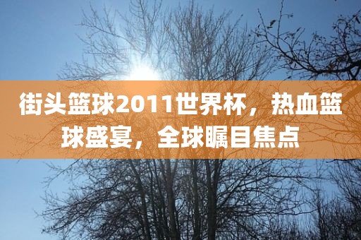 街头篮球2011世界杯，热血篮球盛宴，全球瞩目焦点