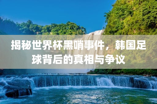 揭秘世界杯黑哨事件，韩国足球背后的真相与争议
