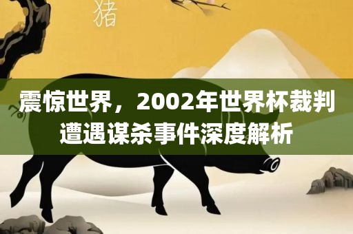 震惊世界，2002年世界杯裁判遭遇谋杀事件深度解析