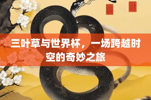三叶草与世界杯，一场跨越时空的奇妙之旅