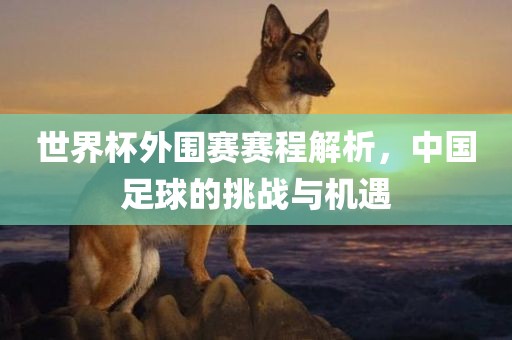 世界杯外围赛赛程解析，中国足球的挑战与机遇