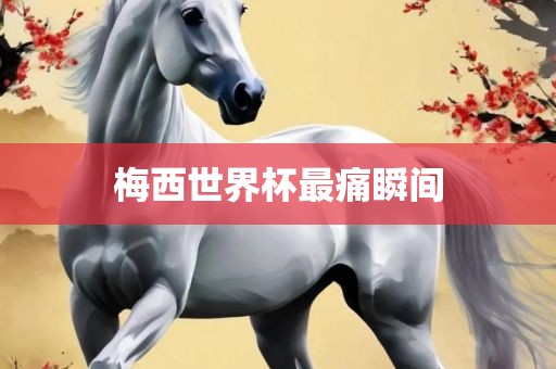 梅西世界杯最痛瞬间