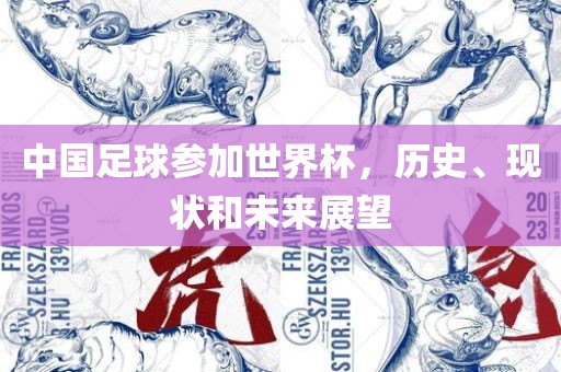 中国足球参加世界杯，历史、现状和未来展望