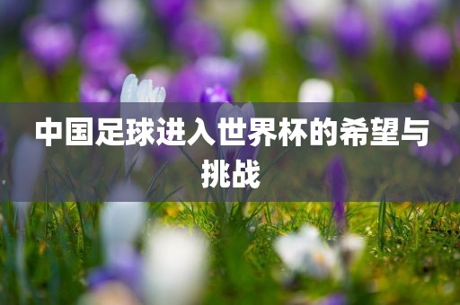 中国足球进入世界杯的希望与挑战
