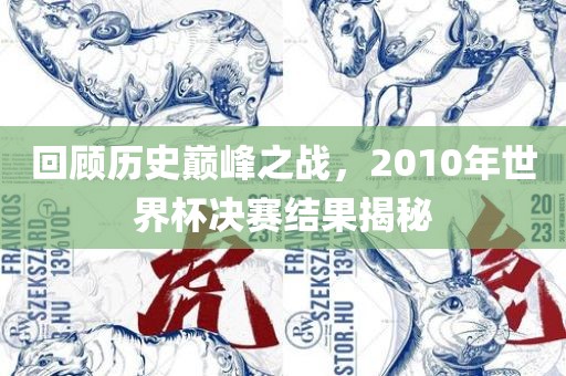 回顾历史巅峰之战，2010年世界杯决赛结果揭秘