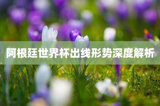 阿根廷世界杯出线形势深度解析