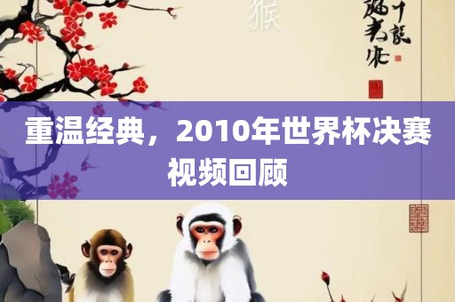 重温经典，2010年世界杯决赛视频回顾