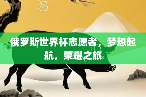 俄罗斯世界杯志愿者，梦想起航，荣耀之旅