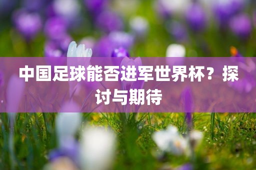 中国足球能否进军世界杯？探讨与期待