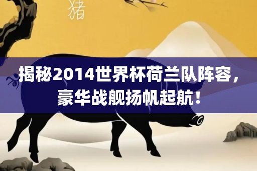 揭秘2014世界杯荷兰队阵容，豪华战舰扬帆起航！