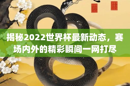 揭秘2022世界杯最新动态，赛场内外的精彩瞬间一网打尽