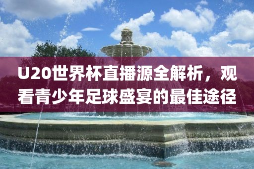 U20世界杯直播源全解析，观看青少年足球盛宴的最佳途径