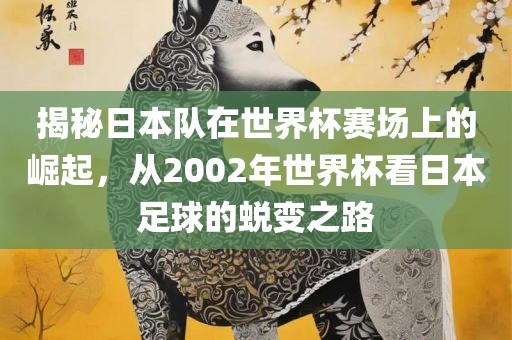 揭秘日本队在世界杯赛场上的崛起，从2002年世界杯看日本足球的蜕变之路