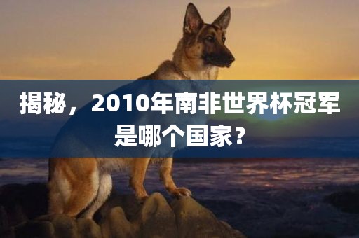 揭秘，2010年南非世界杯冠军是哪个国家？眉山市正发家政服务有限公司