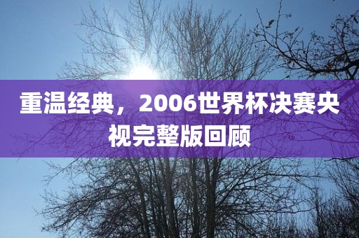 重温经典，2006世界杯决赛央视完整版回顾
