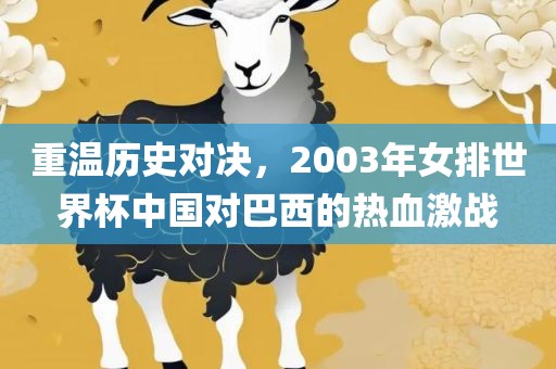 重温历史对决，2003年女排世界杯中国对巴西的热血激战