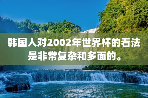 韩国人对2002年世界杯的看法是非常复杂和多面的。