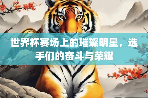 世界杯赛场上的璀璨明星，选手们的奋斗与荣耀