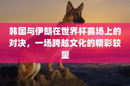 韩国与伊朗在世界杯赛场上的对决，一场跨越文化的精彩较量