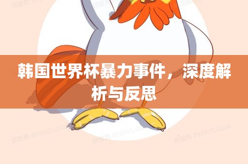 韩国世界杯暴力事件，深度解析与反思