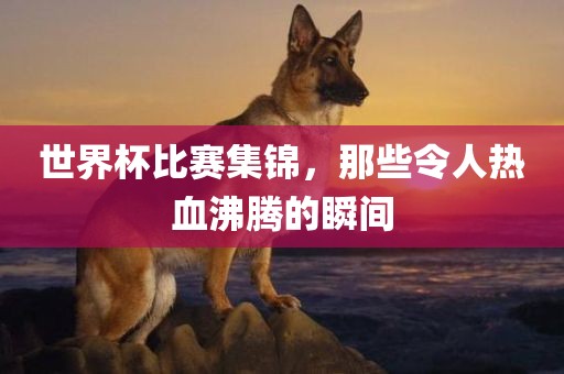 世界杯比赛集锦，那些令人热血沸腾的瞬间
